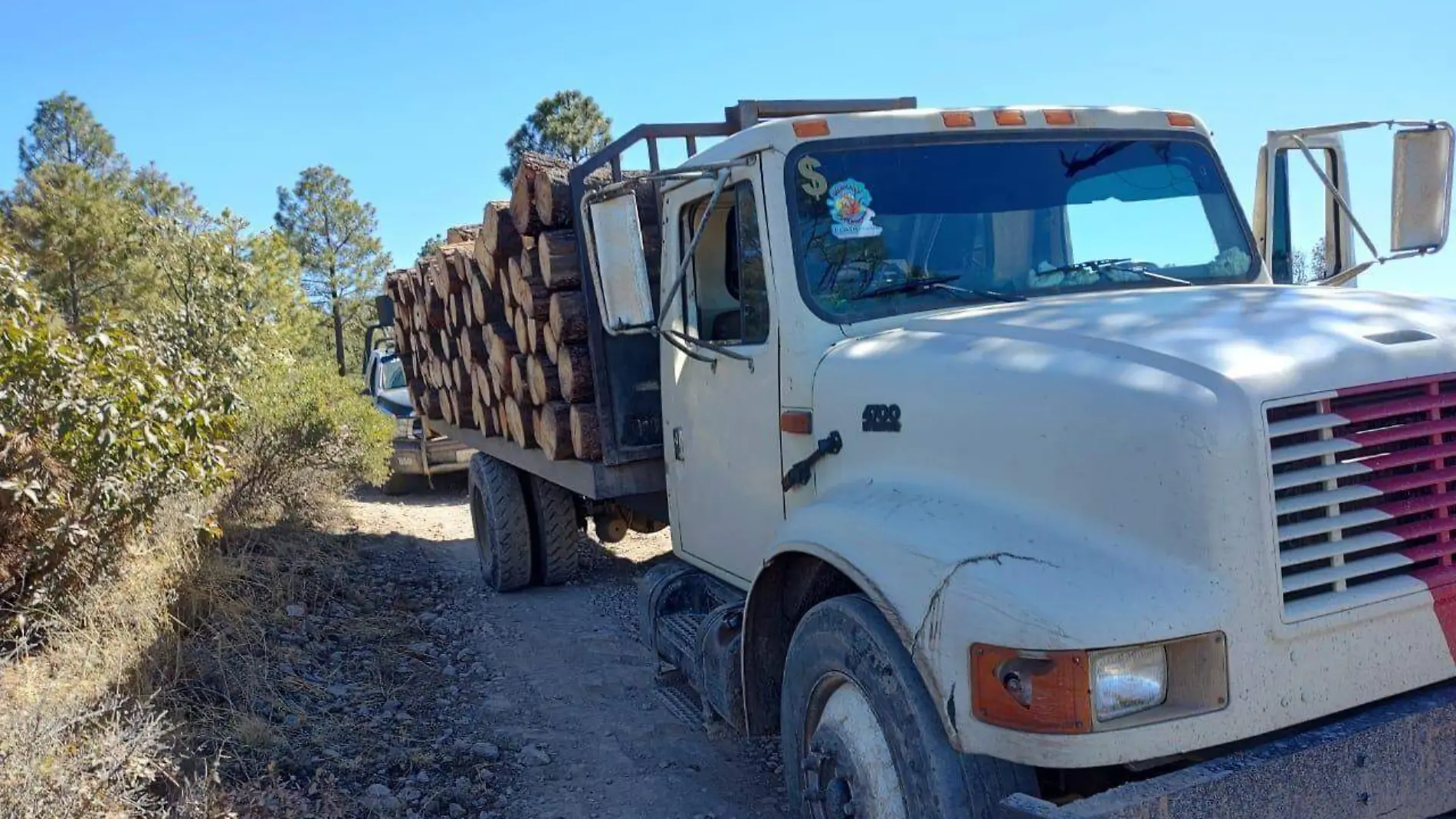 Madera en rollo camión